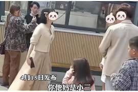 临高调查婚姻事物所